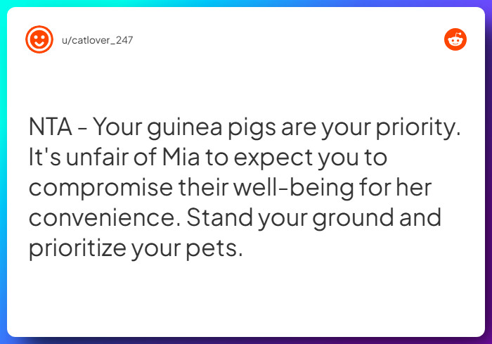 Comment from u/catlover_247