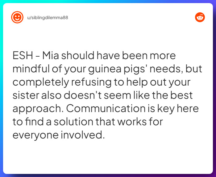 Comment from u/siblingdilemma88