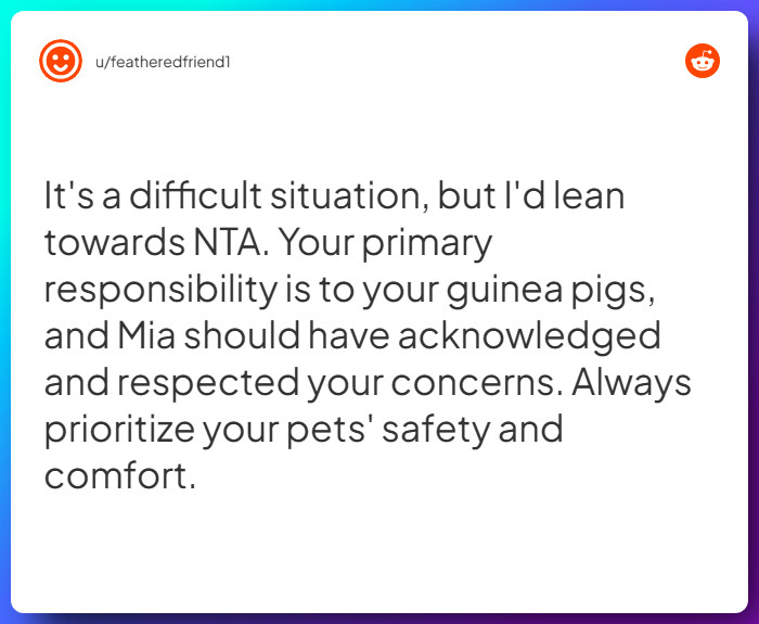 Comment from u/featheredfriend1