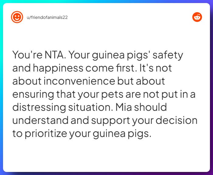 Comment from u/friendofanimals22