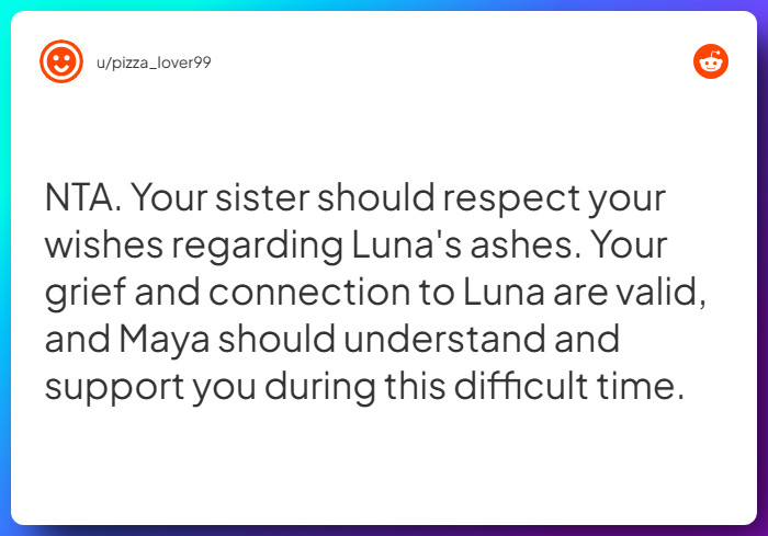 Comment from u/pizza_lover99