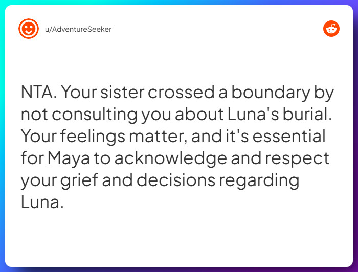 Comment from u/AdventureSeeker