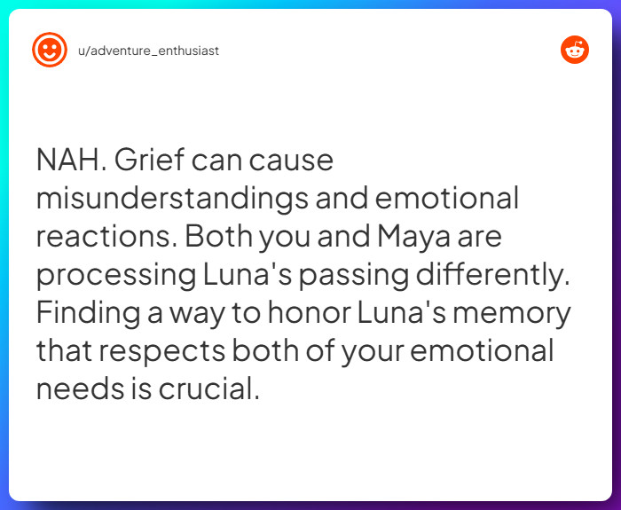 Comment from u/adventure_enthusiast