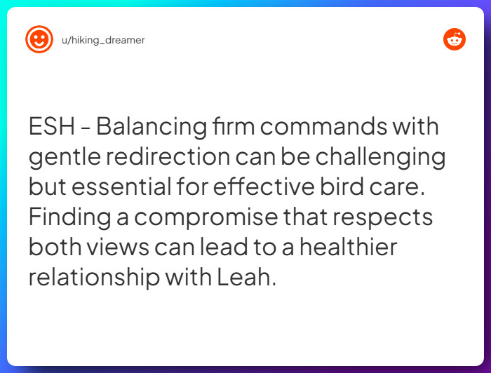 Comment from u/hiking_dreamer