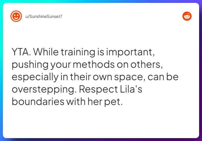 Comment from u/SunshineSunset7