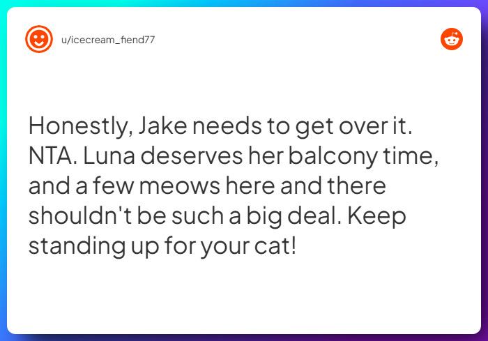 Comment from u/icecream_fiend77