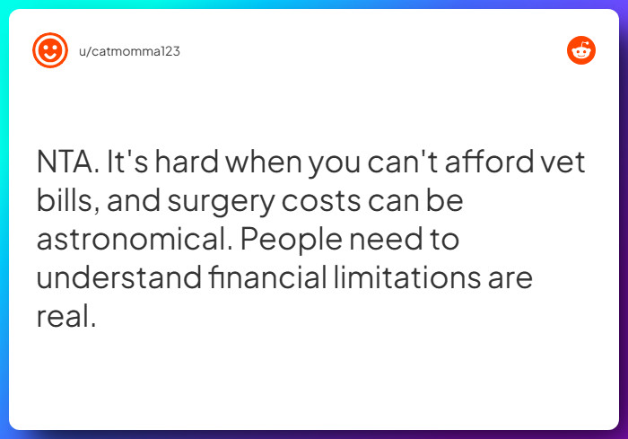 Comment from u/catmomma123