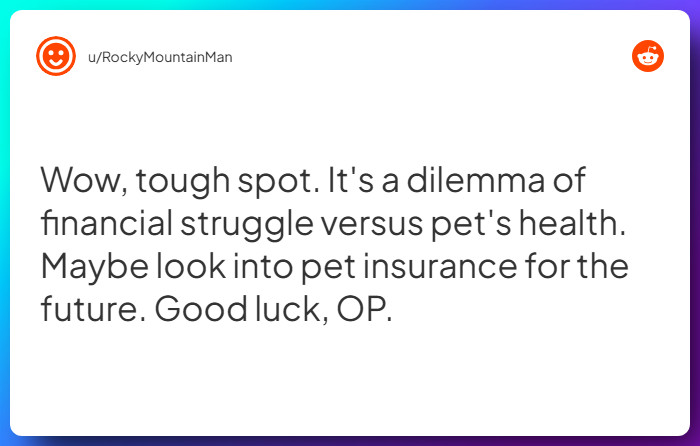 Comment from u/RockyMountainMan