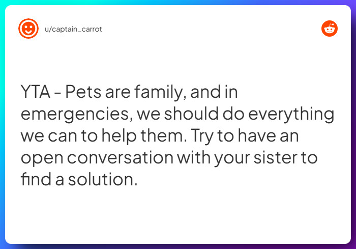 Comment from u/captain_carrot