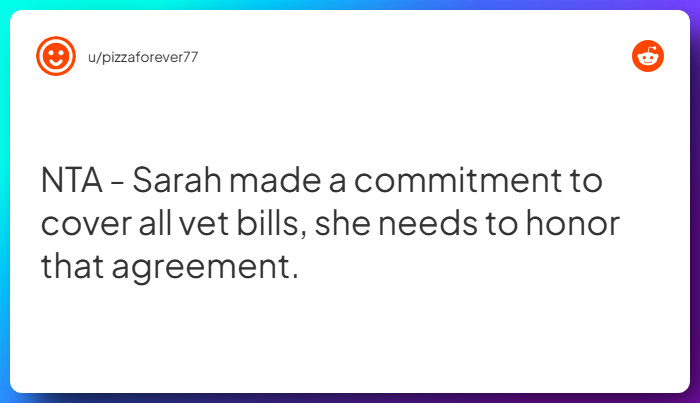 Comment from u/pizzaforever77