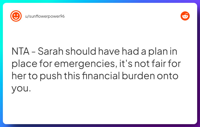 Comment from u/sunflowerpower96