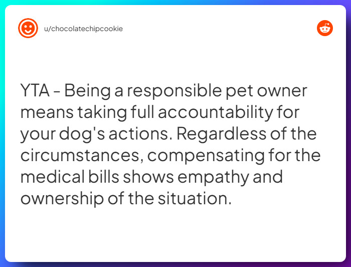 Comment from u/chocolatechipcookie