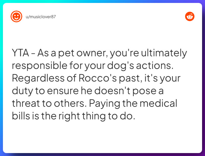 Comment from u/musiclover87