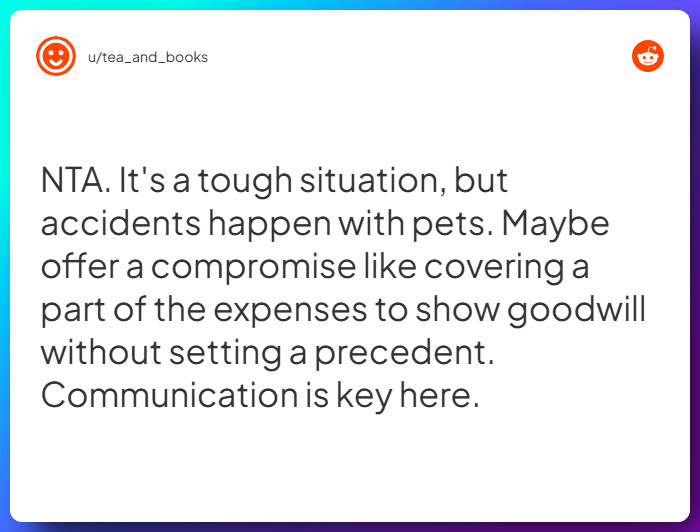 Comment from u/tea_and_books