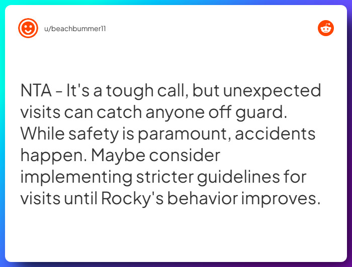 Comment from u/beachbummer11