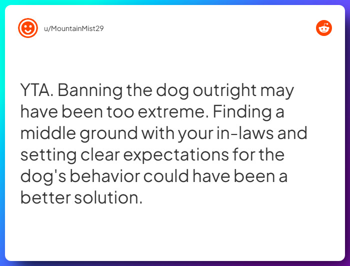 Comment from u/MountainMist29