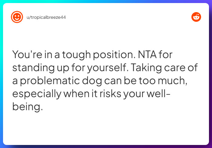 Comment from u/tropicalbreeze44