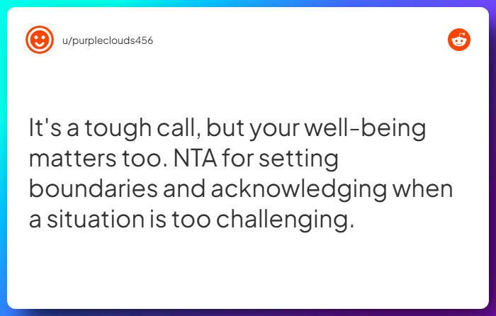 Comment from u/purpleclouds456