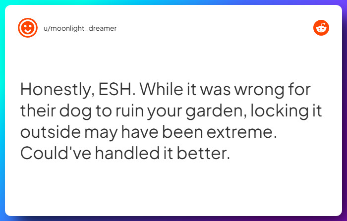 Comment from u/moonlight_dreamer