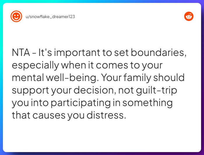 Comment from u/snowflake_dreamer123