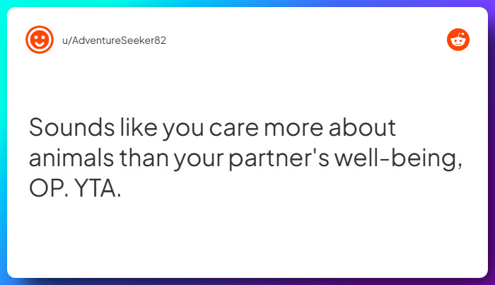 Comment from u/AdventureSeeker82