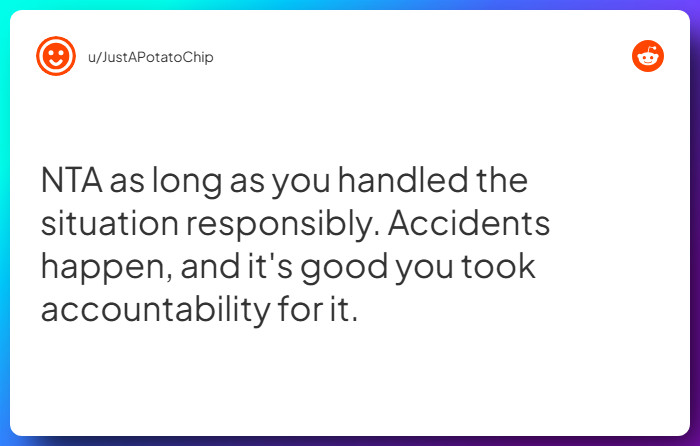 Comment from u/JustAPotatoChip