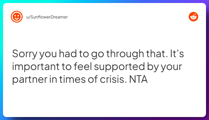 Comment from u/SunflowerDreamer