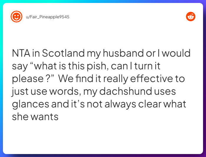 Comment from u/Fair_Pineapple9545