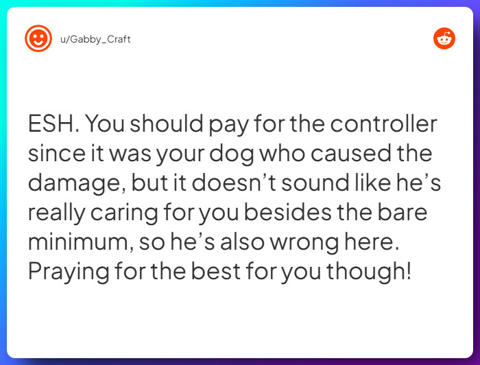 Comment from u/Gabby_Craft