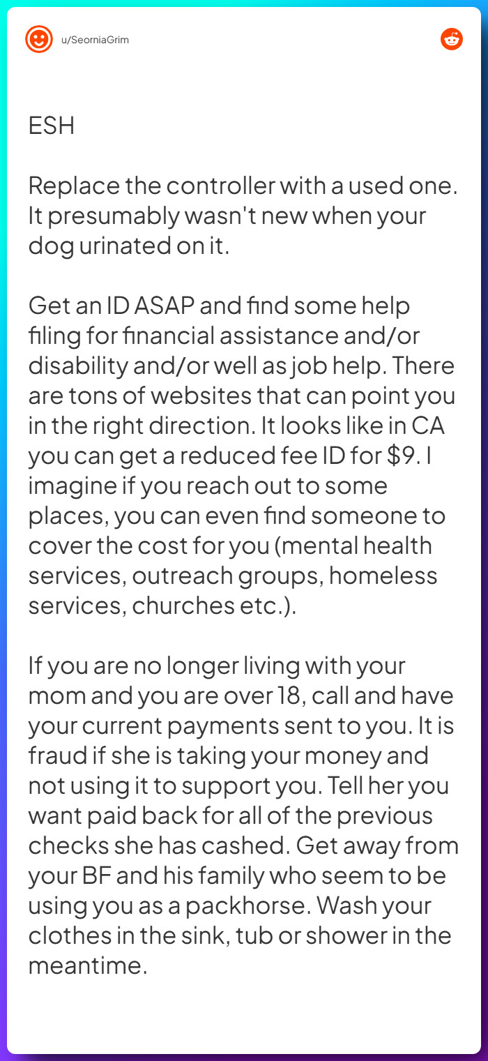 Comment from u/SeorniaGrim