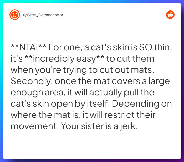 Comment from u/Witty_Commentator