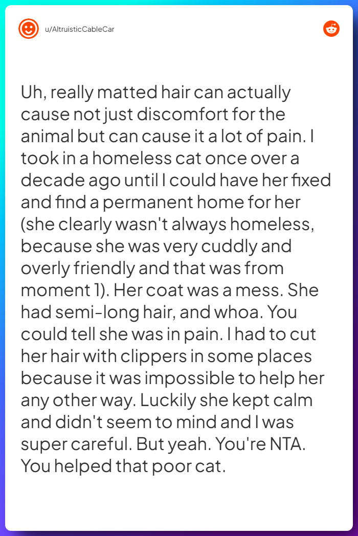 Comment from u/AltruisticCableCar