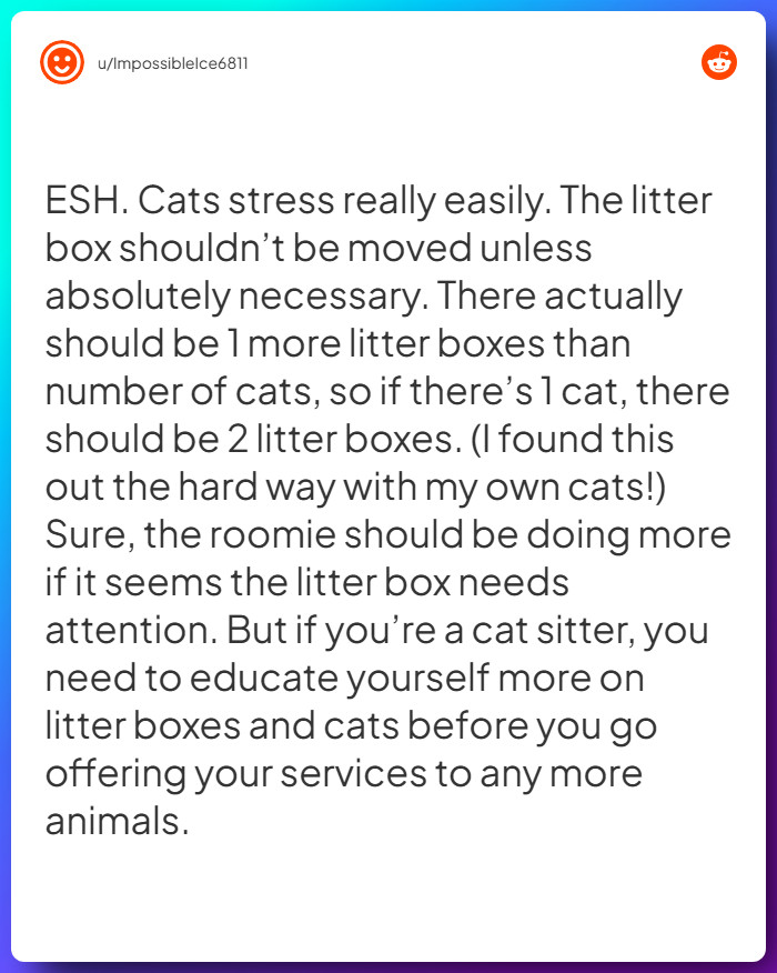 Comment from u/ImpossibleIce6811