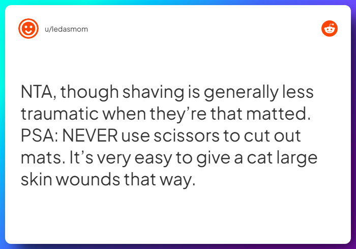 Comment from u/ledasmom