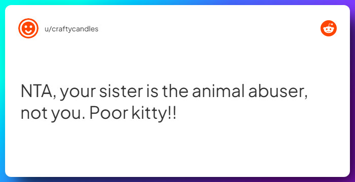 Comment from u/craftycandles