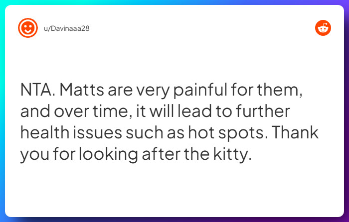 Comment from u/Davinaaa28