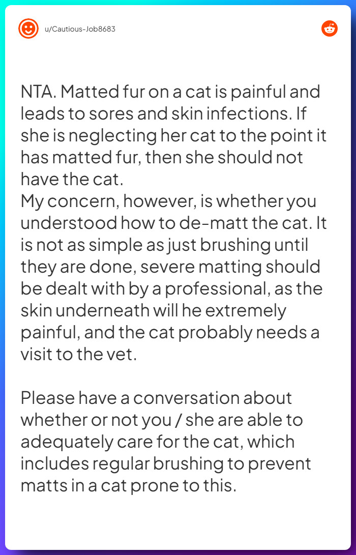 Comment from u/Cautious-Job8683