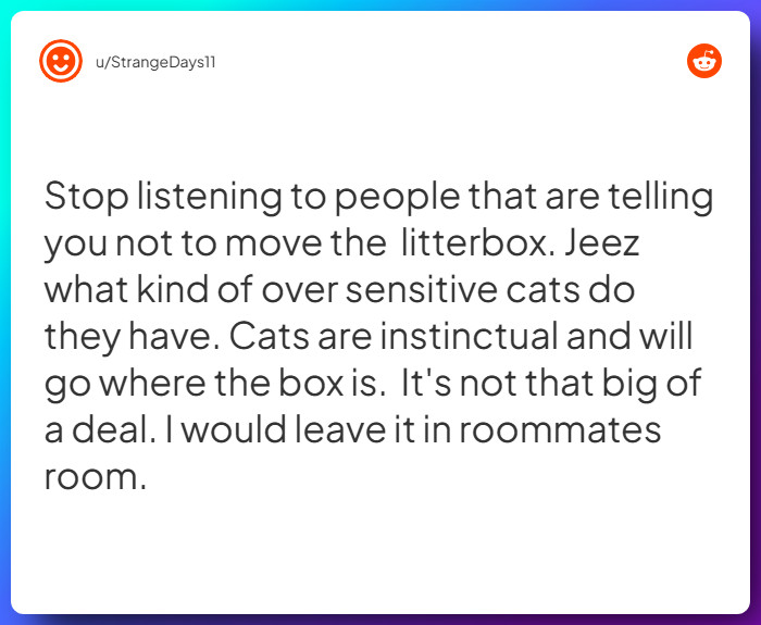 Comment from u/StrangeDays11