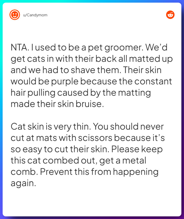 Comment from u/Candymom