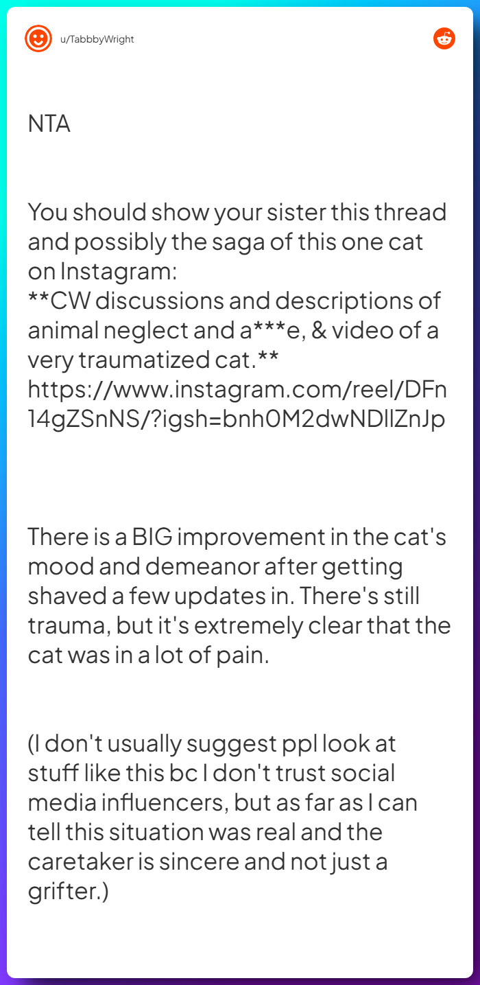 Comment from u/TabbbyWright