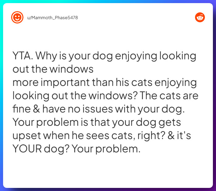 Comment from u/Mammoth_Phase5478