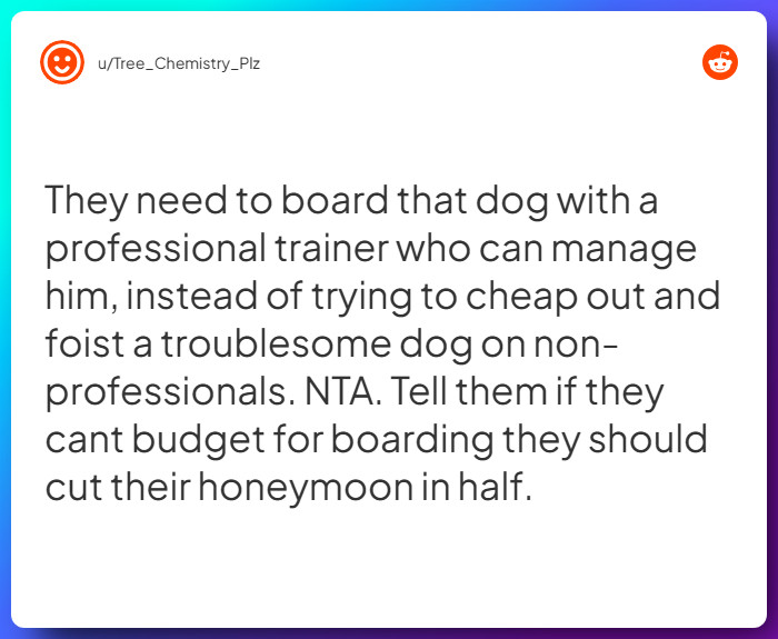 Comment from u/Tree_Chemistry_Plz