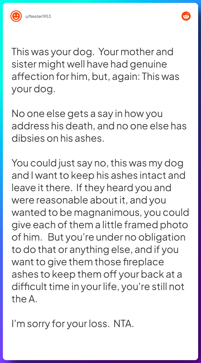 Comment from u/Nester1953