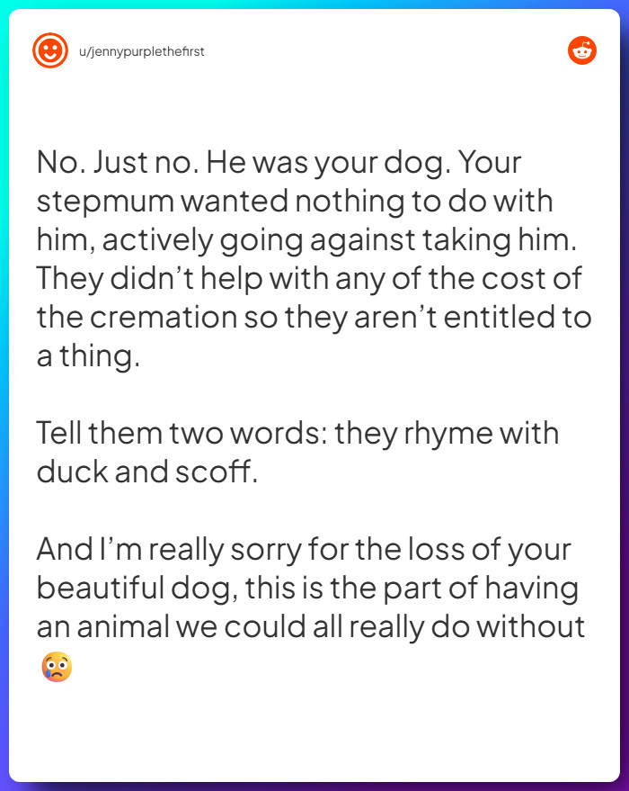 Comment from u/jennypurplethefirst