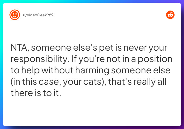 Comment from u/VideoGeek989