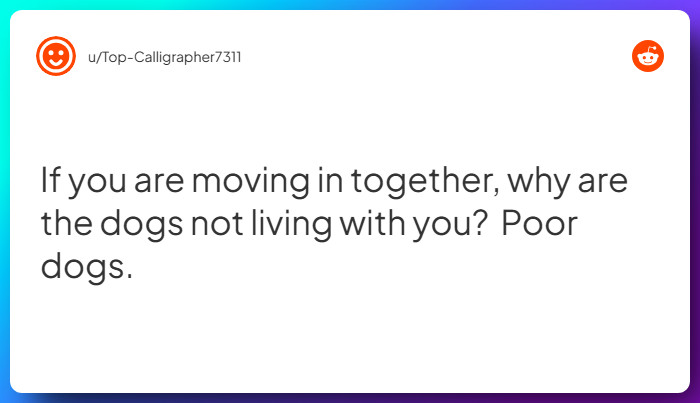 Comment from u/Top-Calligrapher7311