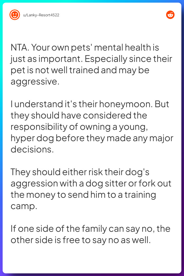 Comment from u/Lanky-Resort4522