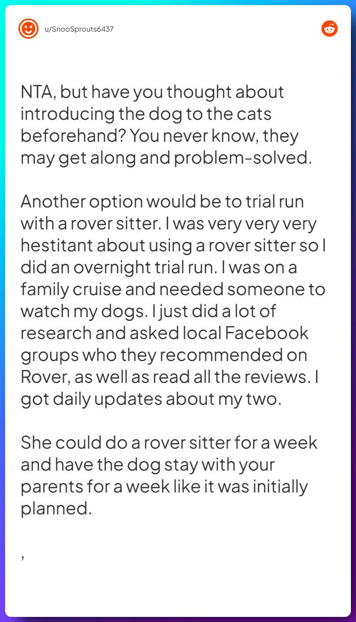 Comment from u/SnooSprouts6437