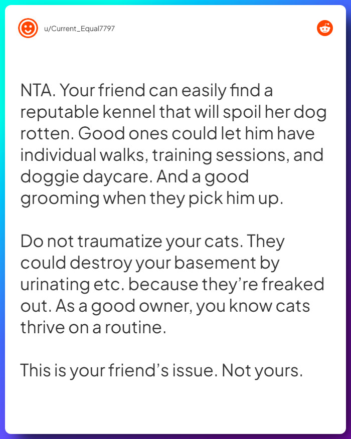 Comment from u/Current_Equal7797