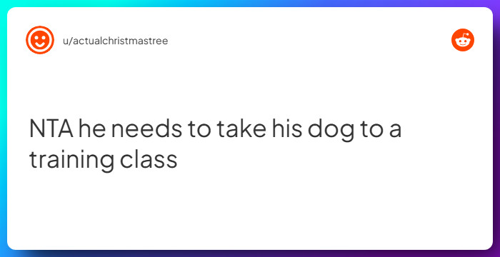 Comment from u/actualchristmastree